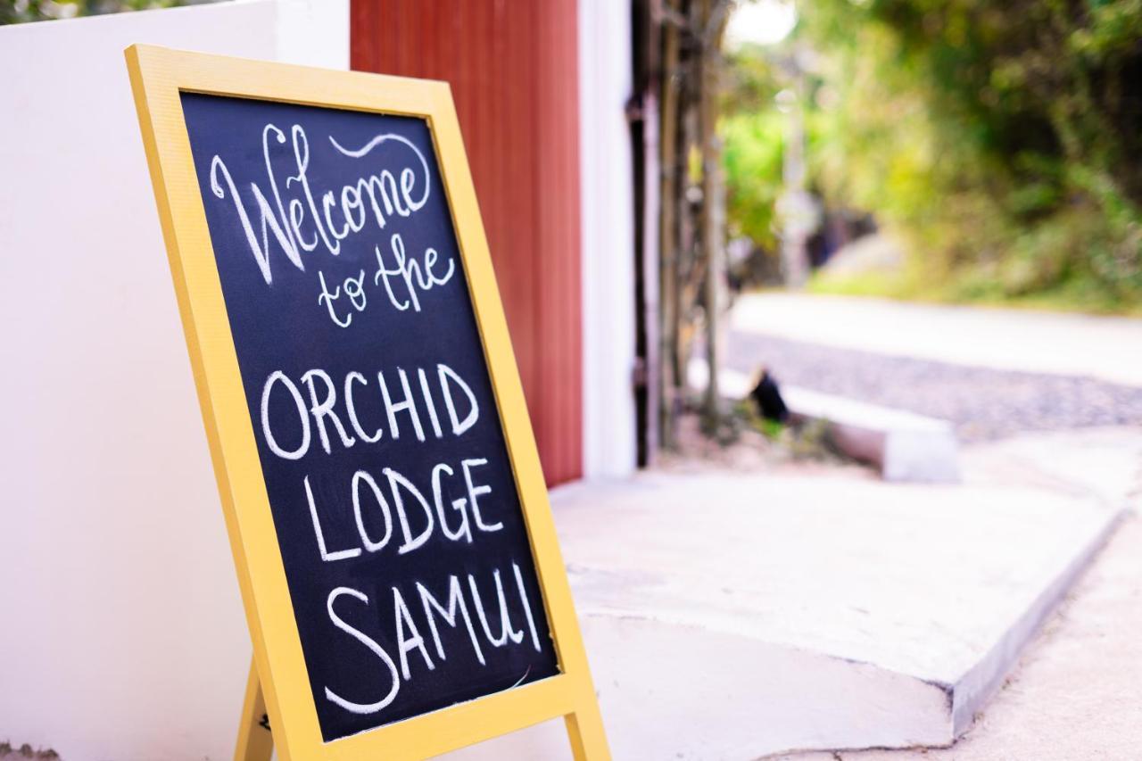 Orchid Lodge Samui - Bed & Breakfast Lamai Beach  Exterior foto